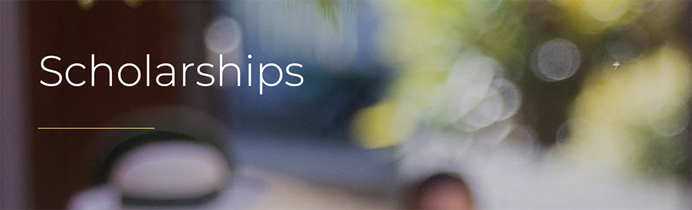 BRIGIDINE COLLEGE Indooroopilly - ACADEMIC SCHOLARSHIP