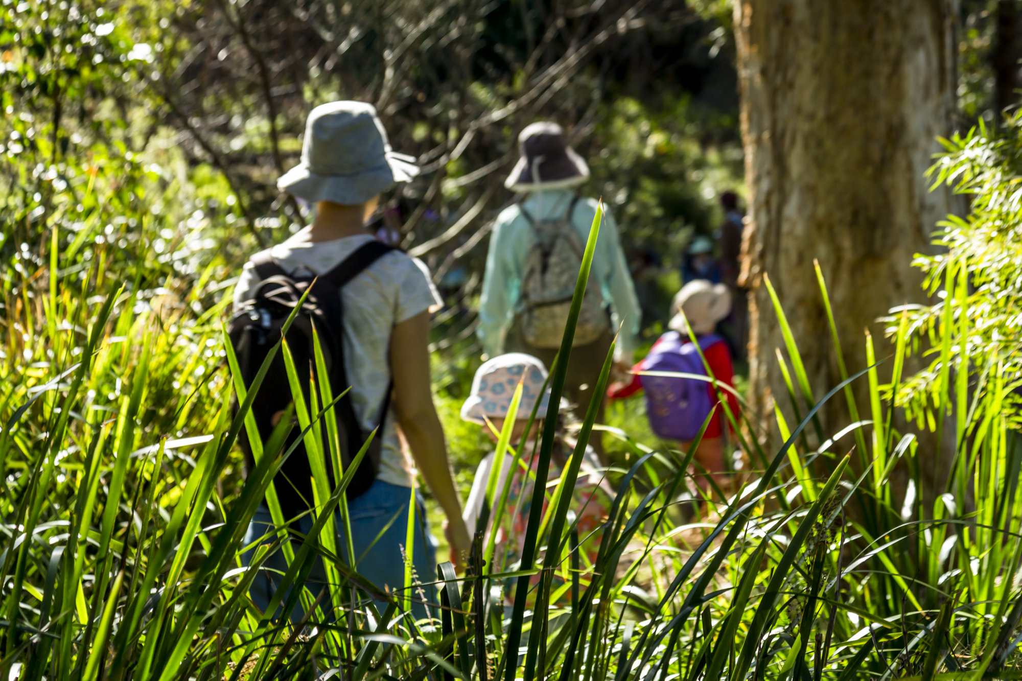 Kindy Bush walk24.jpg