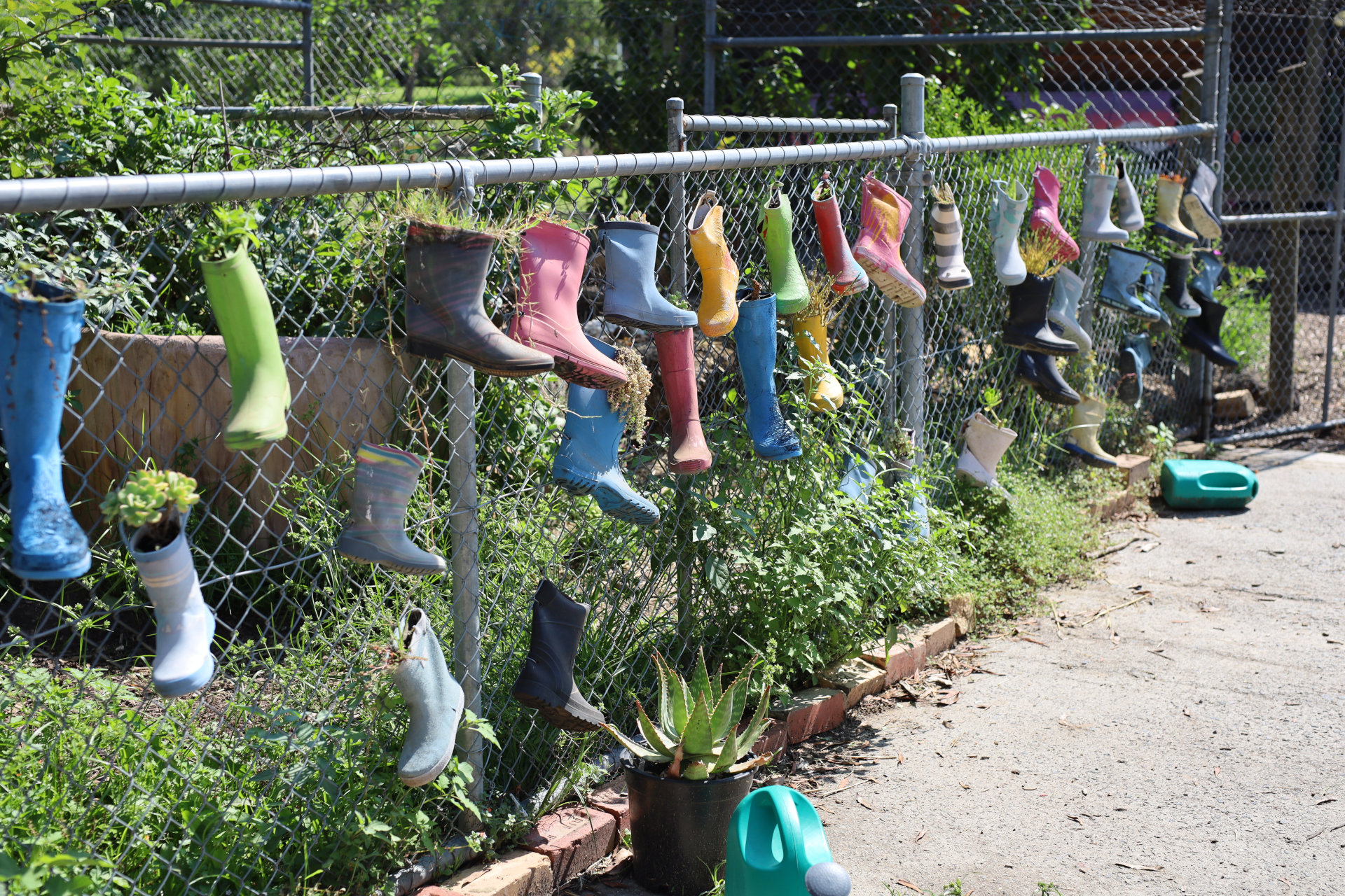 Gumboots at the School Farm