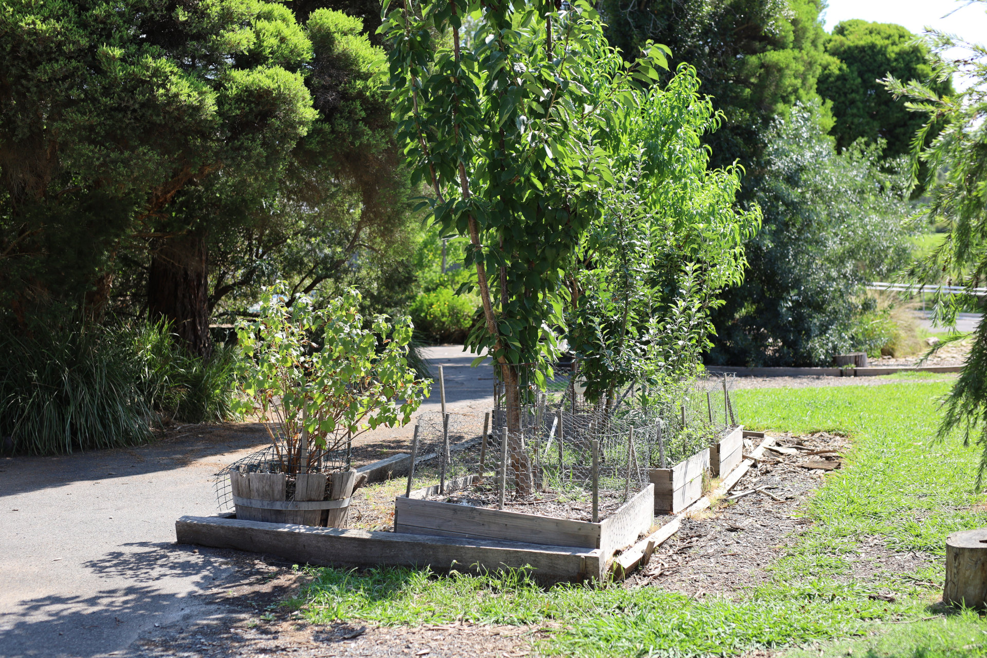 Growing Food in the Kitchen Garden